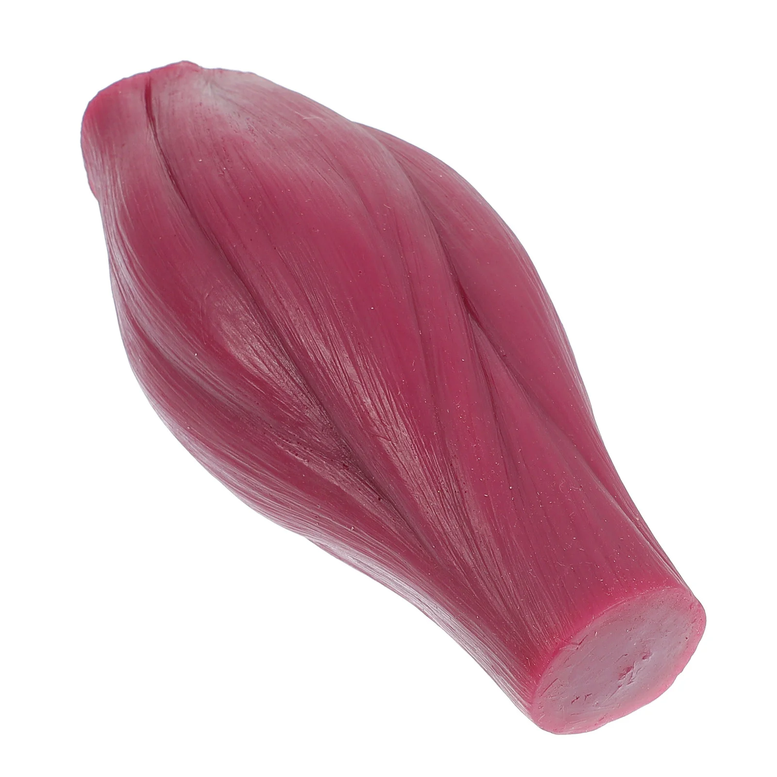 Muscle Model 1 Lb Teaching Display Pound Human Body Toy Replica Silica Gel Child
Muscle Model 1 Lb Teaching Display Pound Human Body Toy Replica Silica Gel Child