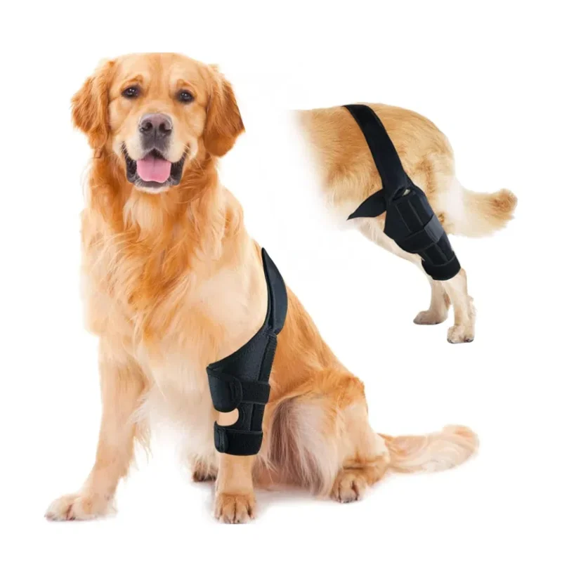Dog Knee Support For Spraining Hind Legs, Dog Buttocks For Cruciate Ligament Injuries, Adjustable Dog Leg Support
Dog Knee Support For Spraining Hind Legs, Dog Buttocks For Cruciate Ligament Injuries, Adjustable Dog Leg Support