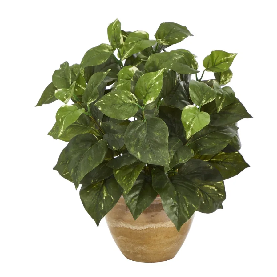 14" Pothos Artificial Plant in Ceramic Planter in Green
14" Pothos Artificial Plant in Ceramic Planter in Green