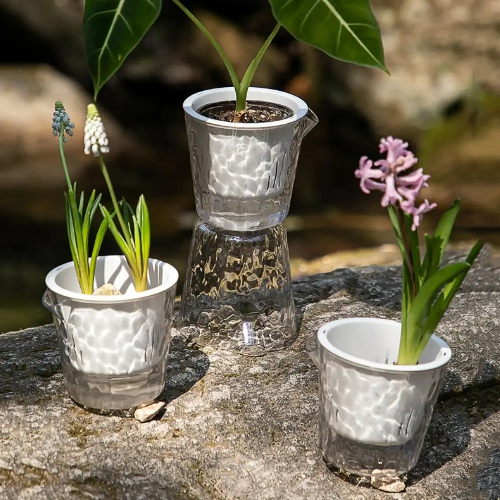 2pcs Transparent Self Sucking Water Splash Pot Durable Thicken Flower Pot Double-layer Automatic Seedling Tray
2pcs Transparent Self Sucking Water Splash Pot Durable Thicken Flower Pot Double-layer Automatic Seedling Tray