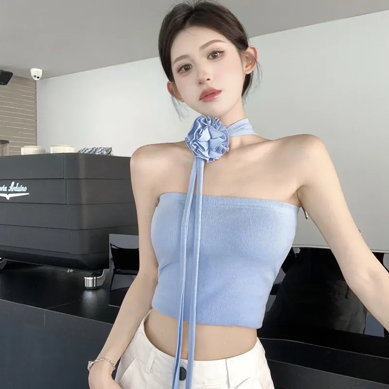 Summer Spicy Girl Style 3D Flower Tube Top Halter Vest Women's Innerwear Outerwear High-End Elegant Short Trendy Top
Summer Spicy Girl Style 3D Flower Tube Top Halter Vest Women's Innerwear Outerwear High-End Elegant Short Trendy Top