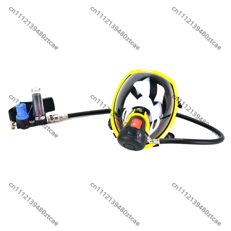 Air Supply Full Face Respirator Dust Proof For Grinding And Spray Painting
Air Supply Full Face Respirator Dust Proof For Grinding And Spray Painting