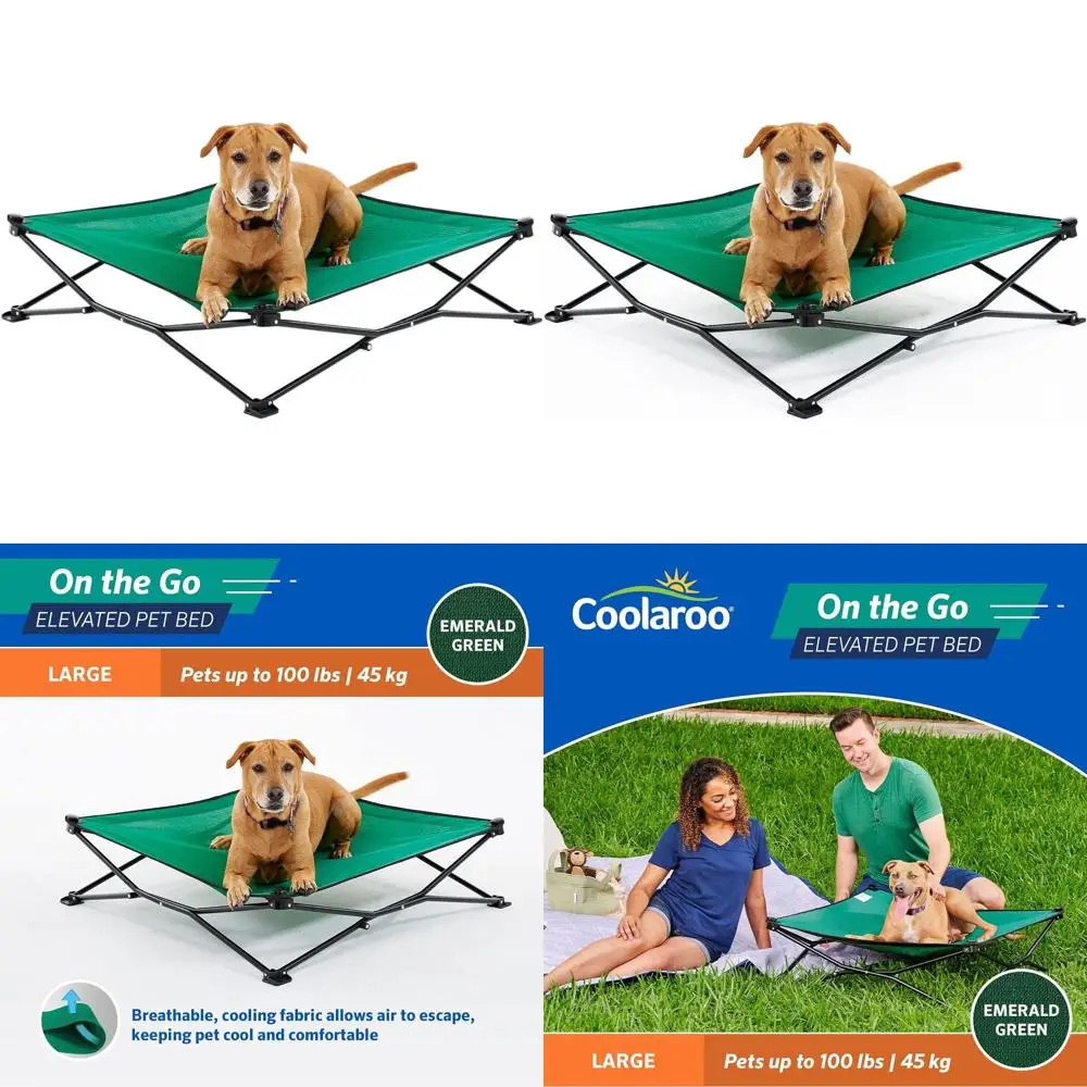 Portable Elevated Dog Bed - Breathable, Moisture-Resistant Fabric, Carry Bag Included, Lightweight, Emerald Green, Large
Portable Elevated Dog Bed - Breathable, Moisture-Resistant Fabric, Carry Bag Included, Lightweight, Emerald Green, Large