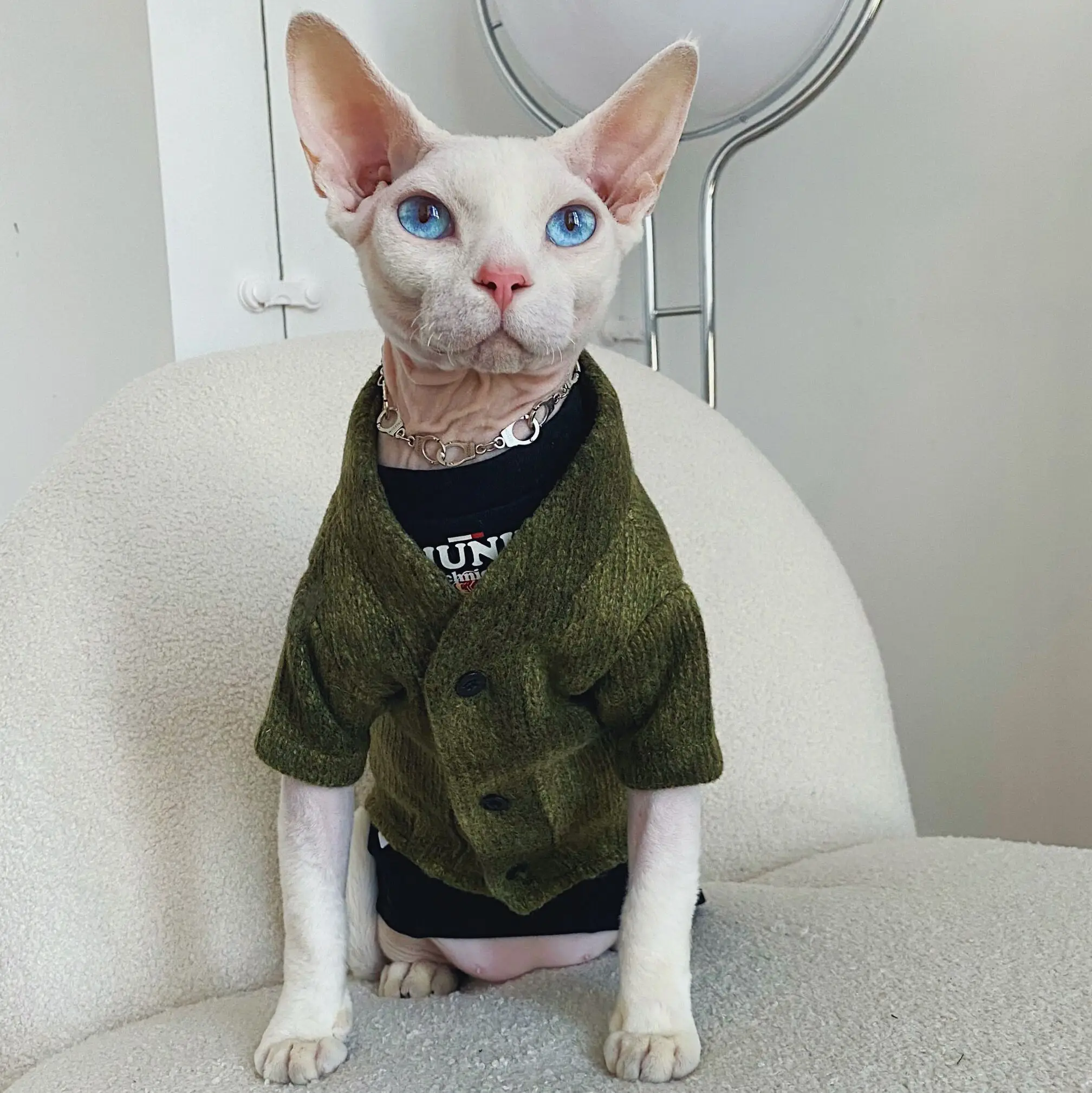 Clothes for Sphynx Plush Wool Coat Warm Sweater for Devon Rex Knitwear Clothing Winter Outwear for kittens Pet products
Clothes for Sphynx Plush Wool Coat Warm Sweater for Devon Rex Knitwear Clothing Winter Outwear for kittens Pet products
