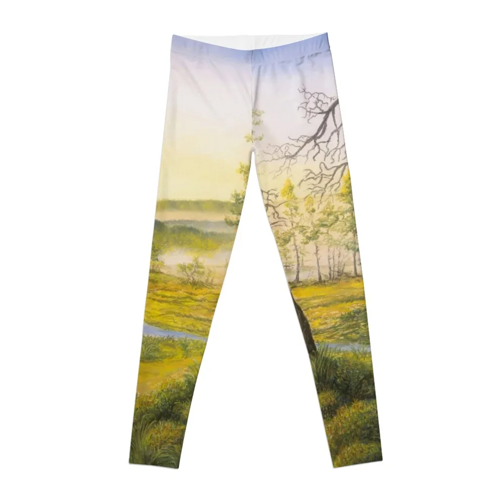 Morning swamp Leggings sportswear for gym Women's trousers sporty woman gym push up fitness Womens Leggings
Morning swamp Leggings sportswear for gym Women's trousers sporty woman gym push up fitness Womens Leggings