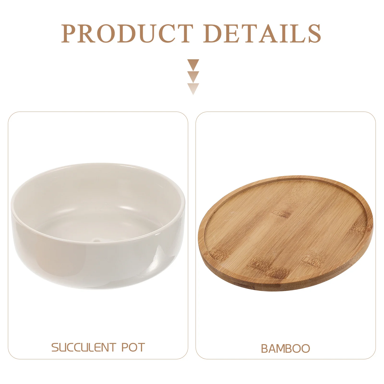 Ceramic Succulent Pot Simple Design with Tray Drain Holes for Office Balcony Home Small Plants Planter Pot Indoor Decor
Ceramic Succulent Pot Simple Design with Tray Drain Holes for Office Balcony Home Small Plants Planter Pot Indoor Decor