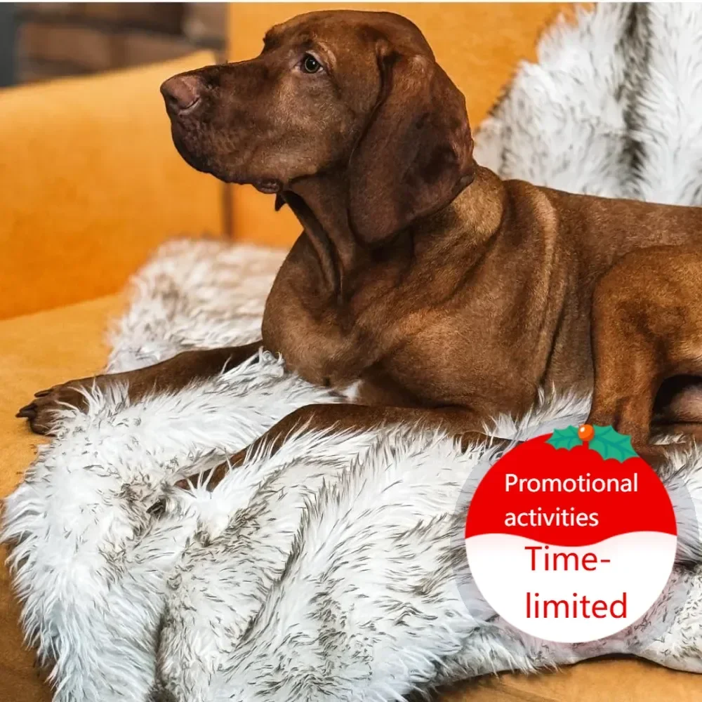 Hot salesWaterproof Dog Blanket Faux Fur Pet Throw Washable Durable for Small Medium Large Dogs Sofa Bed Car Cover
Hot salesWaterproof Dog Blanket Faux Fur Pet Throw Washable Durable for Small Medium Large Dogs Sofa Bed Car Cover