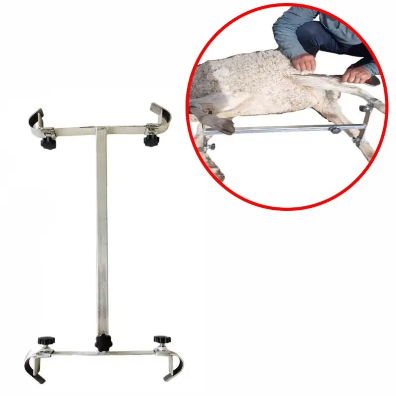 Alloy Steel Adjustable Sheep Special Fixed Frame Vaccinate Shearing Wool Thickening Four Feet Fixed Frame Professional Tool Part
Alloy Steel Adjustable Sheep Special Fixed Frame Vaccinate Shearing Wool Thickening Four Feet Fixed Frame Professional Tool Part