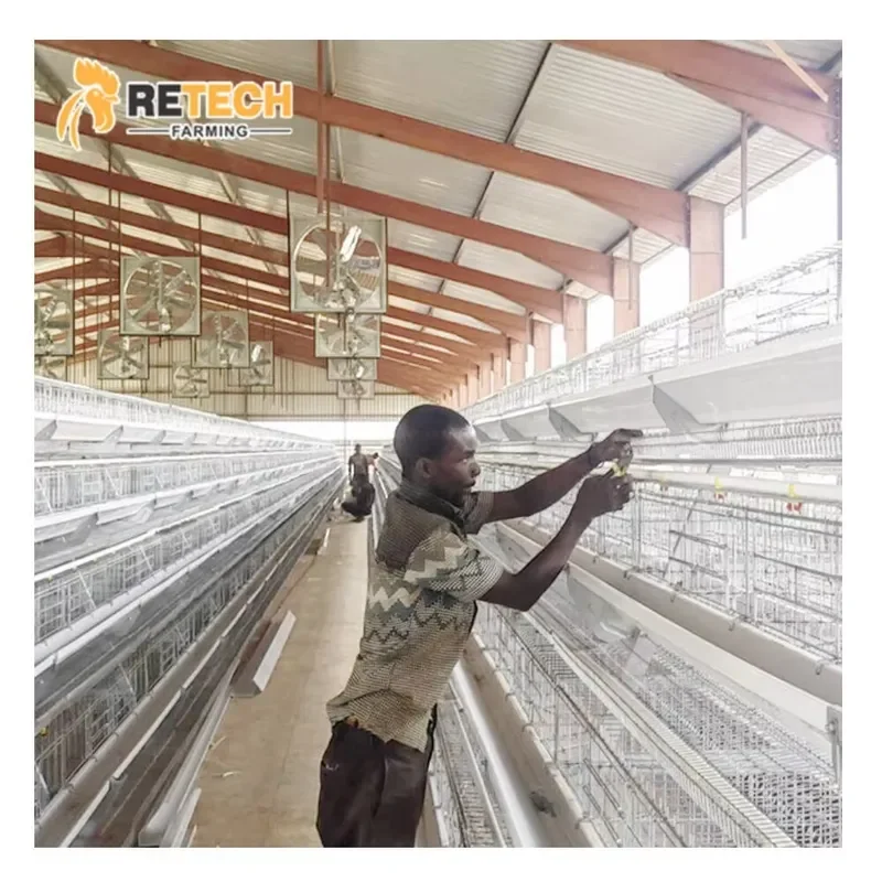 Automatic Hot Sale Galvanized A-Type Chicken Cages for Layer Poultry Farm Equipment
Automatic Hot Sale Galvanized A-Type Chicken Cages for Layer Poultry Farm Equipment