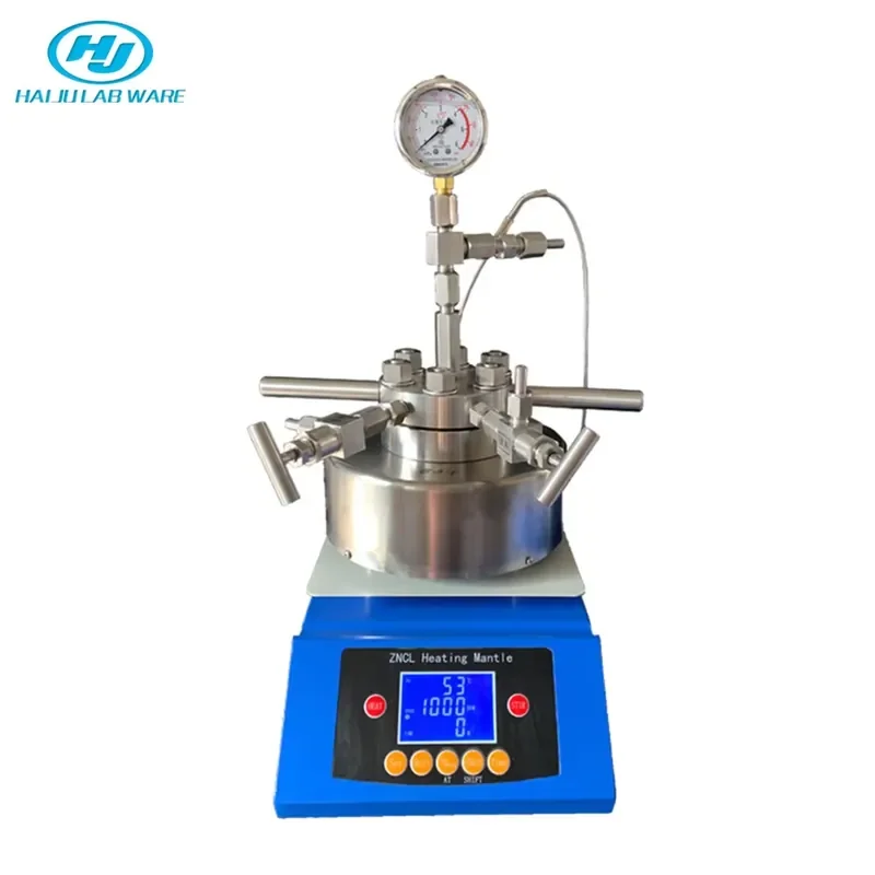 HAIJU LAB Lab High Pressure Stainless Steel Hydrothermal Synthesis Stirring Micro Autoclave Reactor
HAIJU LAB Lab High Pressure Stainless Steel Hydrothermal Synthesis Stirring Micro Autoclave Reactor