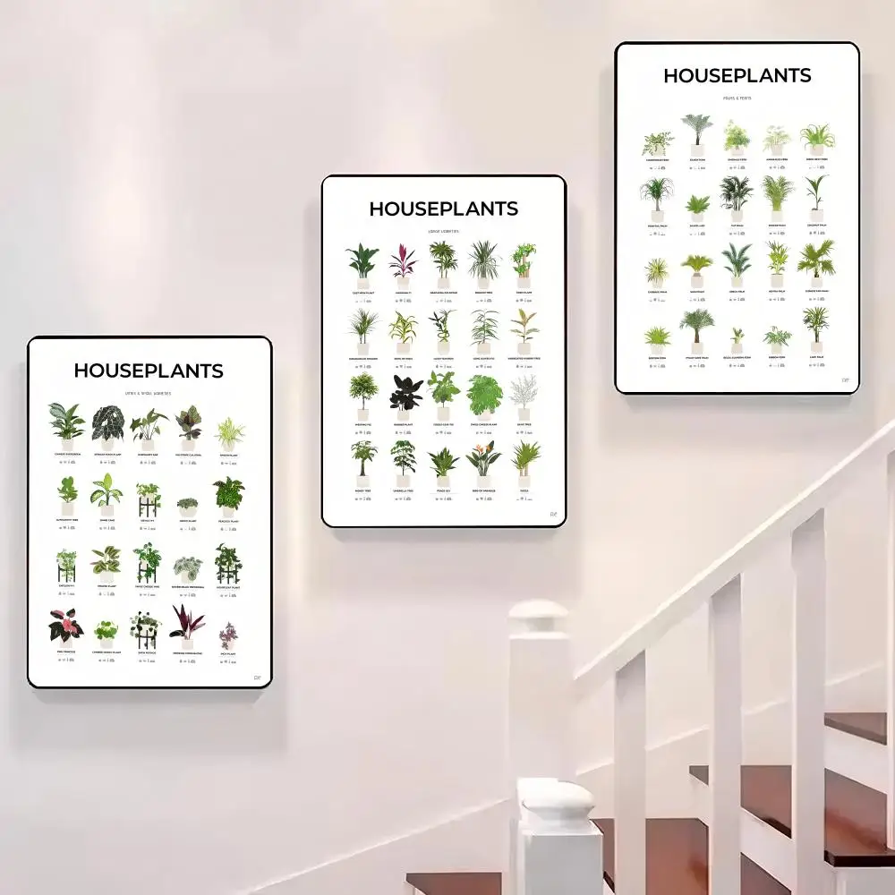Houseplants Chart Design Poster Sticky Wall Waterproof Home Living Room Bedroom Bar Aesthetic Decoration Perfect Gift
Houseplants Chart Design Poster Sticky Wall Waterproof Home Living Room Bedroom Bar Aesthetic Decoration Perfect Gift