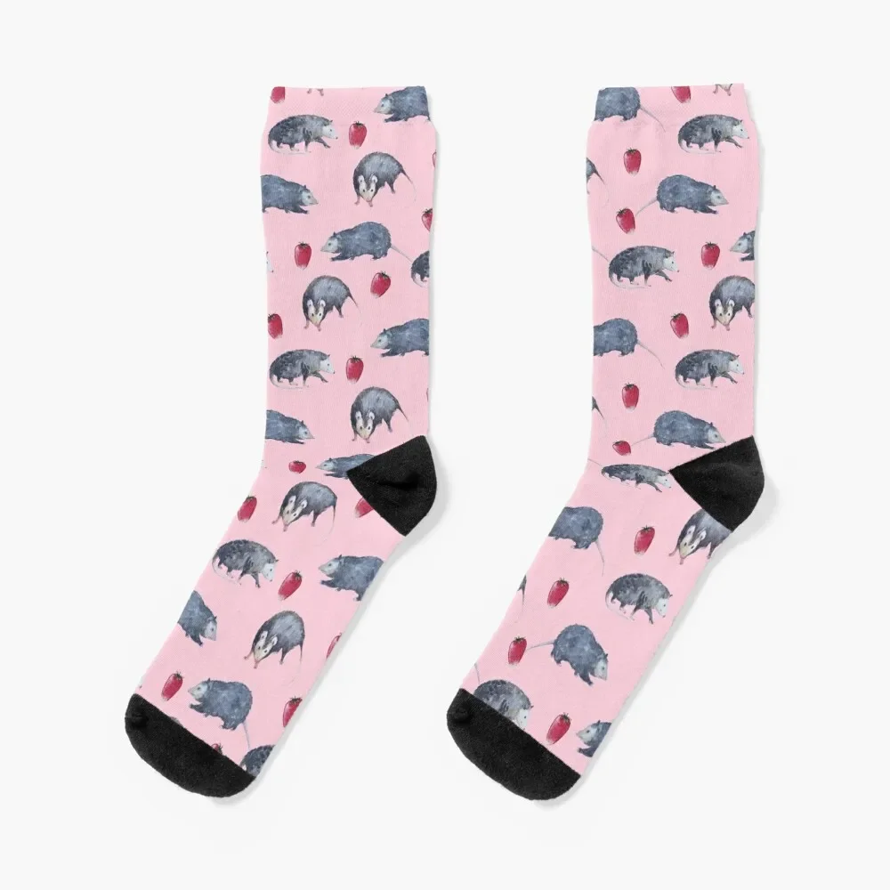 watercolor possums pattern Socks floral FASHION bright garter winter gifts Male Socks Women's
watercolor possums pattern Socks floral FASHION bright garter winter gifts Male Socks Women's