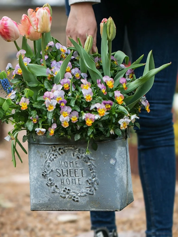Wrought Iron Flower Pot Tin Bucket Retro Old Flowers Dried Flowers Succulent Flower Basket Flower Shop Decoration Jardineria
Wrought Iron Flower Pot Tin Bucket Retro Old Flowers Dried Flowers Succulent Flower Basket Flower Shop Decoration Jardineria