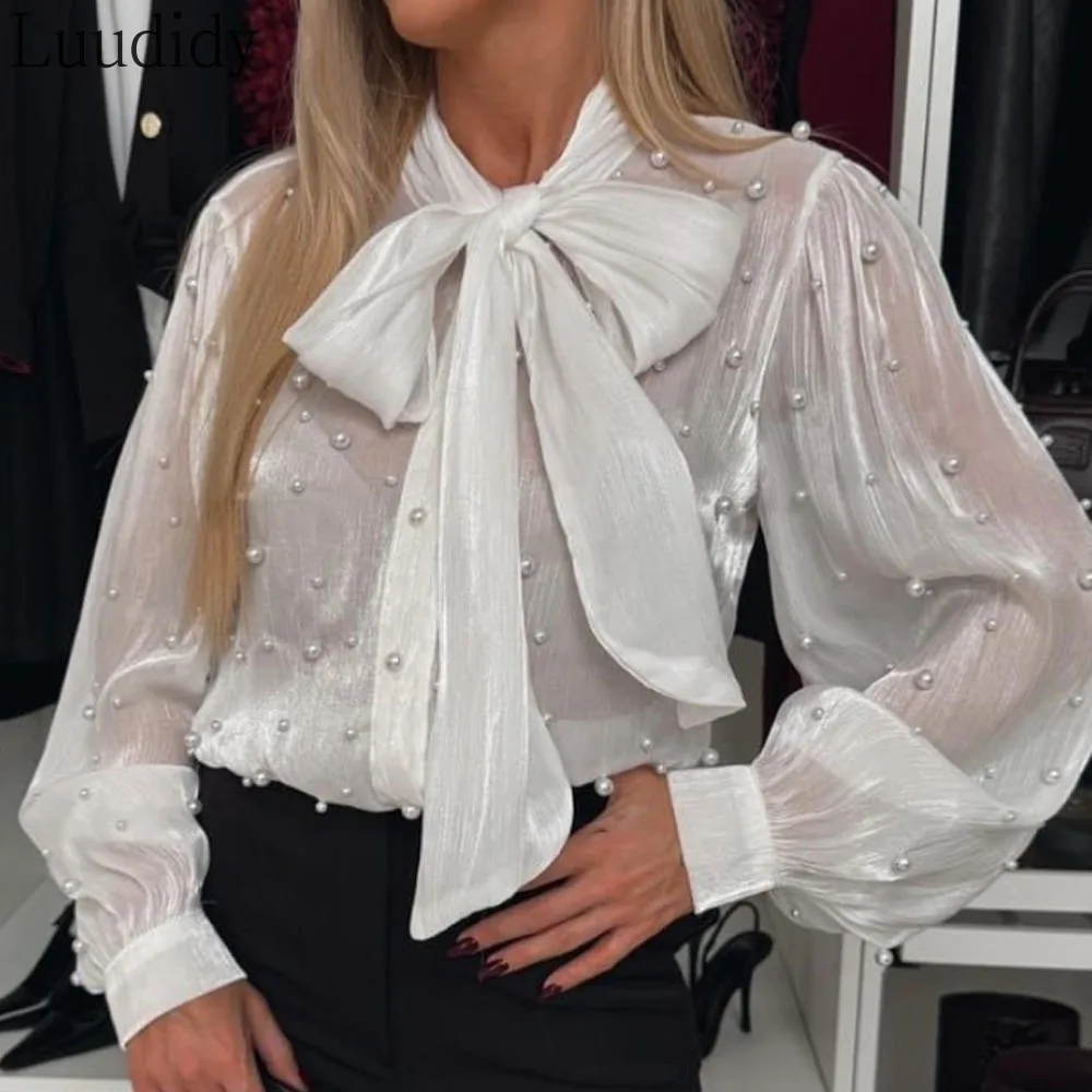 Women's Elegant Solid Color Tie Neck Beaded Long Sleeve Tied Detail Blouses Casual Shirts
Women's Elegant Solid Color Tie Neck Beaded Long Sleeve Tied Detail Blouses Casual Shirts