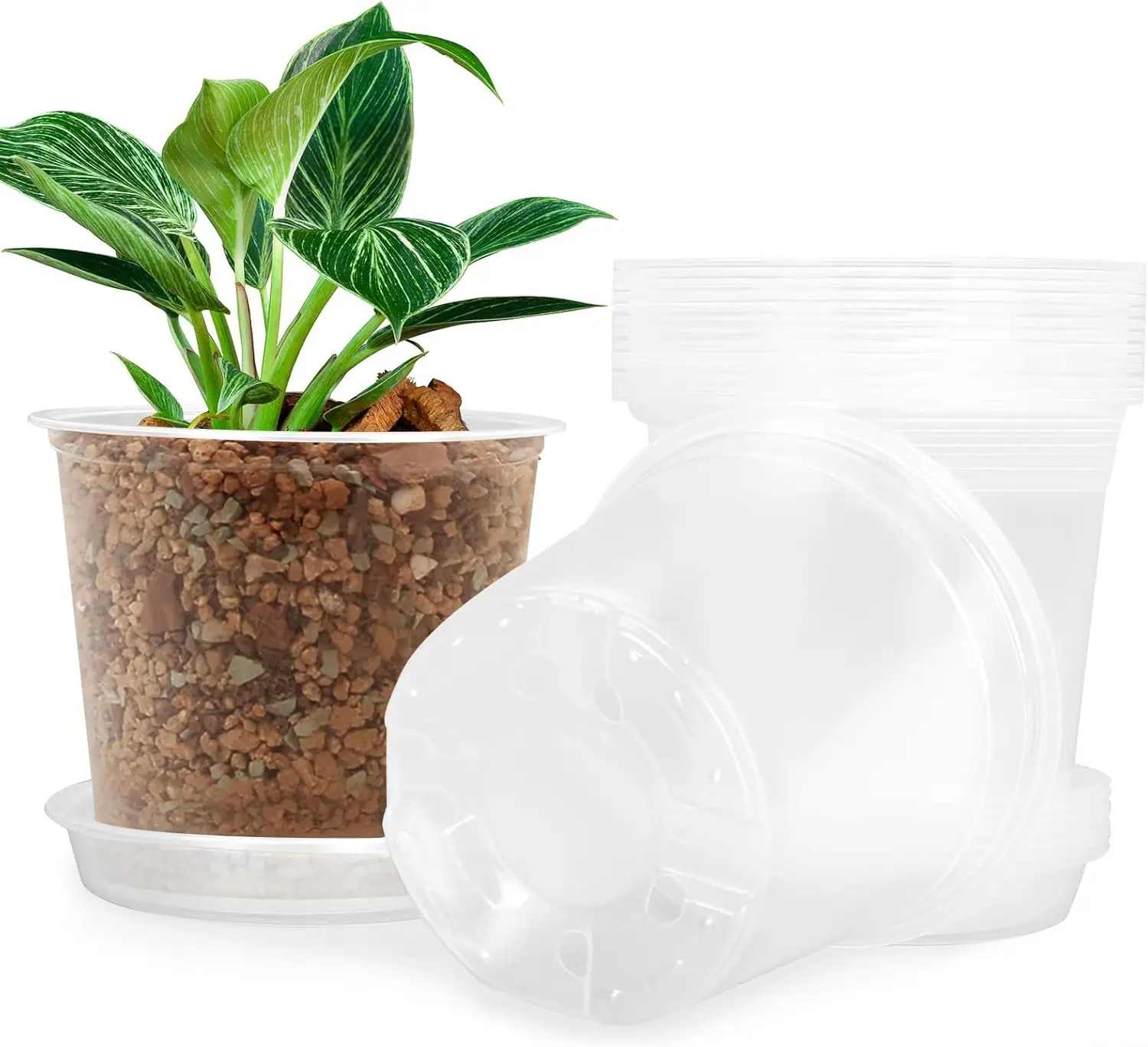 Clear Nursery Pots with Saucers 15 Pack, 6 Inch Plastic Flower Pots for Indoor Outdoor Plants
Clear Nursery Pots with Saucers 15 Pack, 6 Inch Plastic Flower Pots for Indoor Outdoor Plants