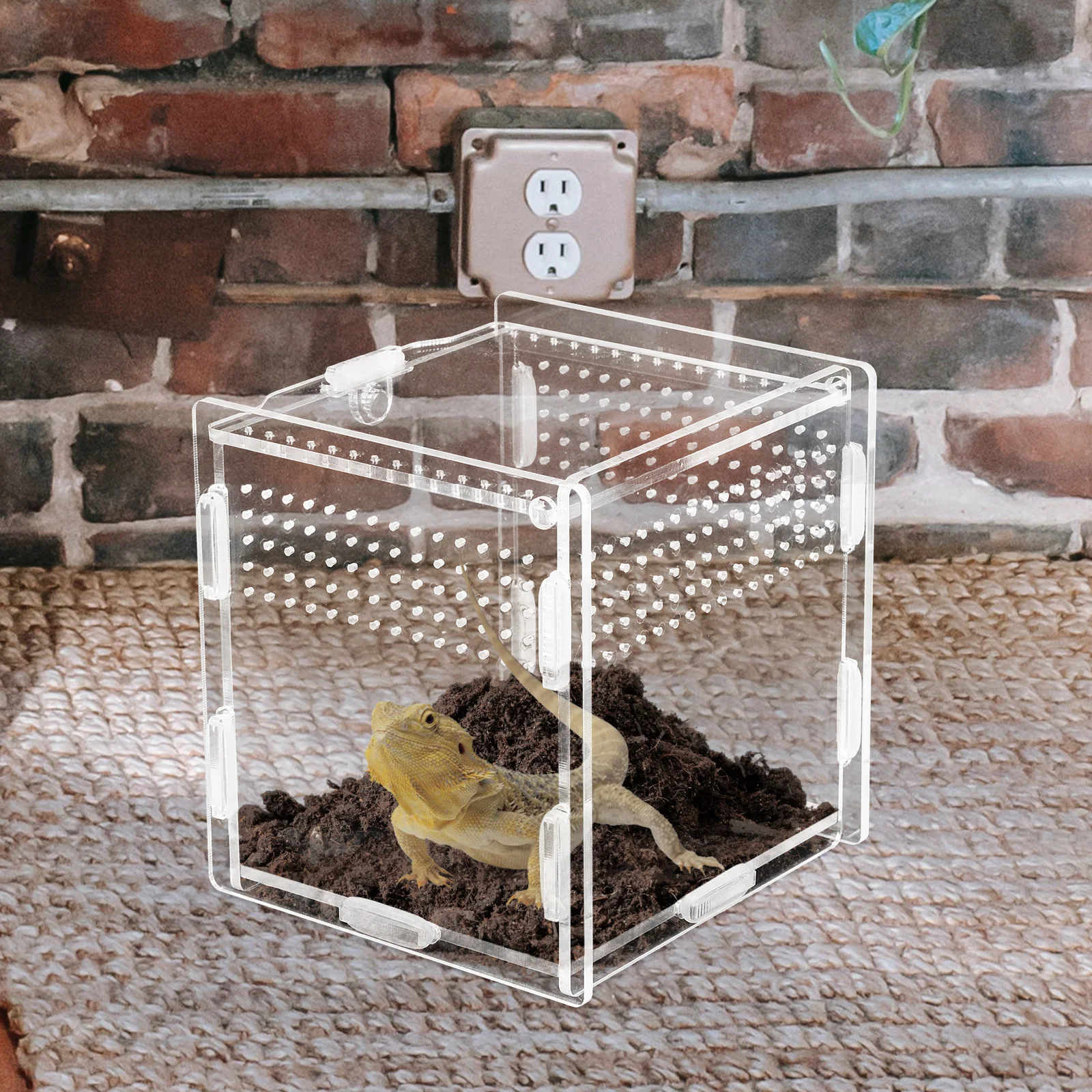 Acrylic Case Breeding Transparent Clear Durable For Spiders Geckos Lizards Small Pets Terrarium Habitat Feeding Keeping
Acrylic Case Breeding Transparent Clear Durable For Spiders Geckos Lizards Small Pets Terrarium Habitat Feeding Keeping