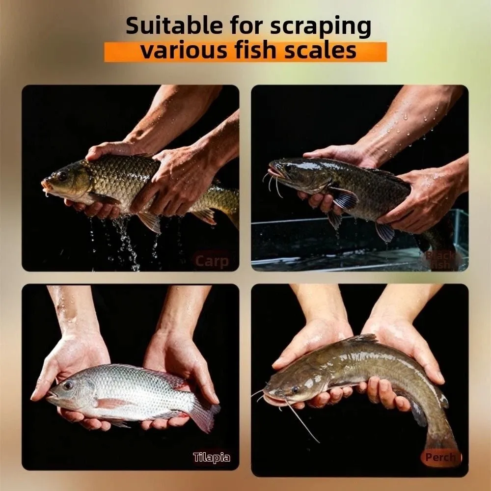 Stainless Steel Electric Fish Scale Remover Fully Automatic Anti-Splash Rotating Fish Scaling Tool Waterproof Fish Scale Scraper
Stainless Steel Electric Fish Scale Remover Fully Automatic Anti-Splash Rotating Fish Scaling Tool Waterproof Fish Scale Scraper