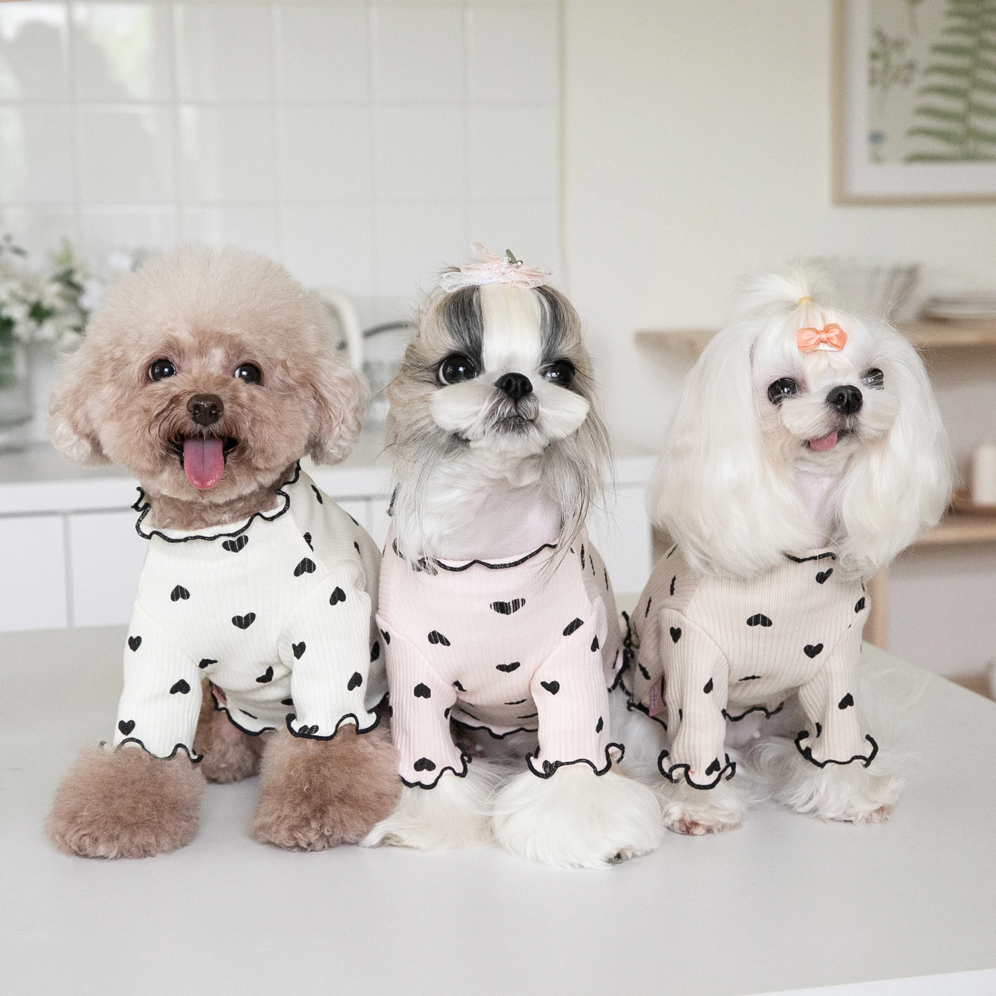 Heart Under Dog Clothes, Soft Cat Clothing, Cute Shirt, Chihuahua Preppy, Sweet Teddy, Winter, Fashion
Heart Under Dog Clothes, Soft Cat Clothing, Cute Shirt, Chihuahua Preppy, Sweet Teddy, Winter, Fashion