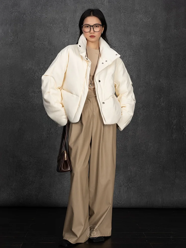 Sle Cotton Feel Goose down Jaet ort Stand Collar Warm Outerwear Women's Faionable Commute Sle Pure Color
Sle Cotton Feel Goose down Jaet ort Stand Collar Warm Outerwear Women's Faionable Commute Sle Pure Color