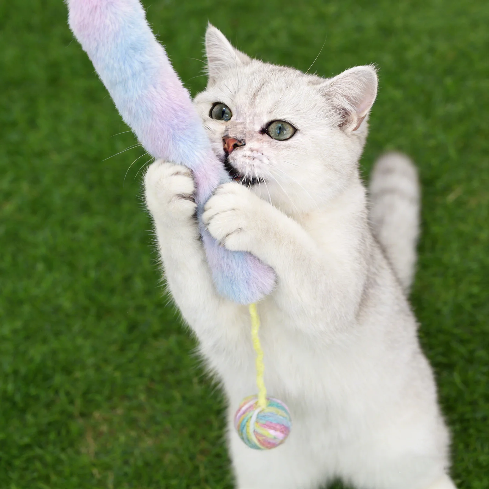 3Pcs Cat Kicker Pillow Soft Chewable Indoor Kitten Playing Interactive Kicker Stick Chew Cat Pillow Cute Cuddling Pet Playing
3Pcs Cat Kicker Pillow Soft Chewable Indoor Kitten Playing Interactive Kicker Stick Chew Cat Pillow Cute Cuddling Pet Playing