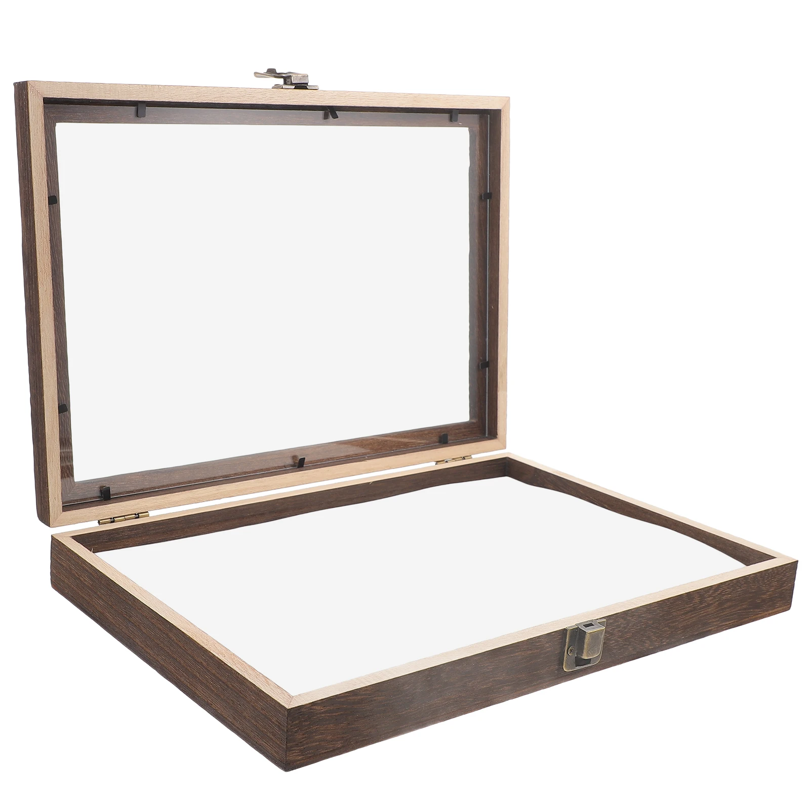 Specimen Display Box Wooden Natural Grain Vintage Style Waterproof Strong Large Capacity Storage Fix Base Lock Easy Open
Specimen Display Box Wooden Natural Grain Vintage Style Waterproof Strong Large Capacity Storage Fix Base Lock Easy Open