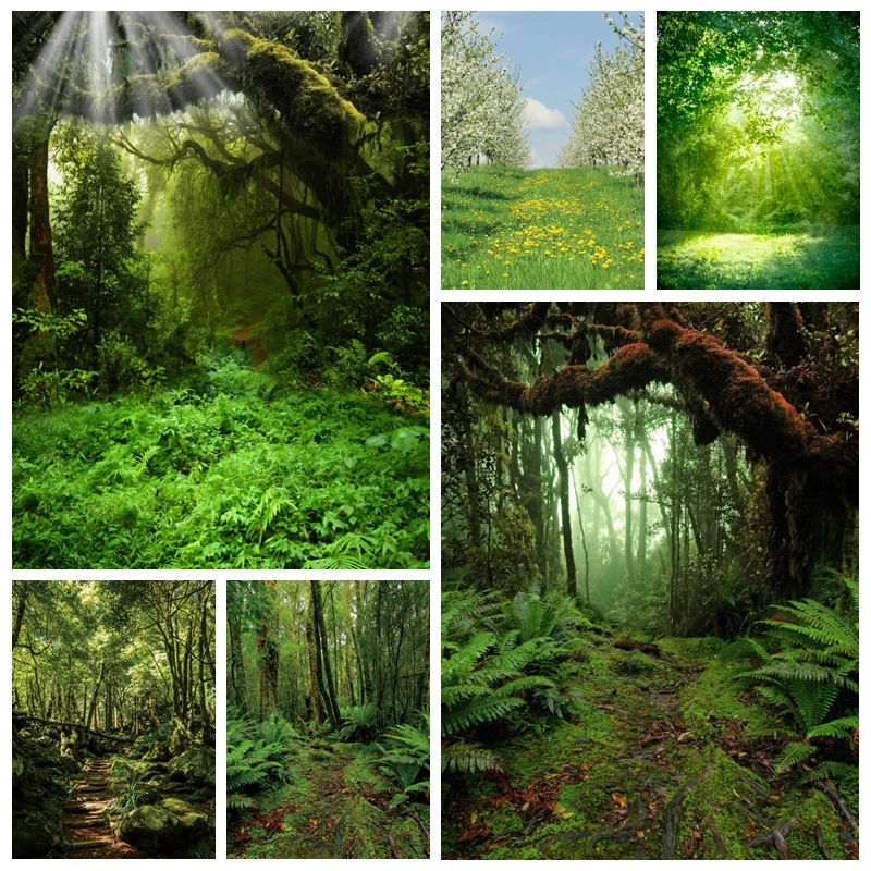 Summer Tropical Forest Landscape Backdrop Photography Adventure Baby Shower Photo Photographic Background Studio Shoot Photozone 
Summer Tropical Forest Landscape Backdrop Photography Adventure Baby Shower Photo Photographic Background Studio Shoot Photozone