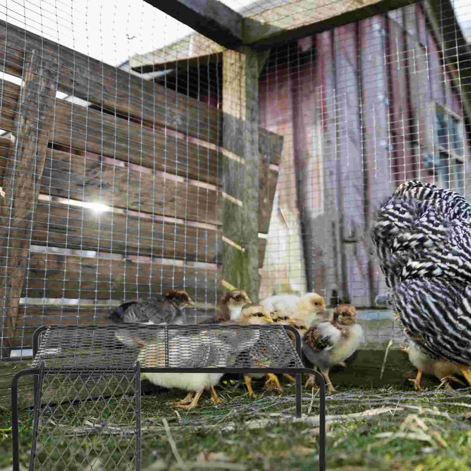 Pet Feeding Rack Rutin Chicken Cage Supply Creative Platform Ladder Coop Practical Toy Hollow Out Iron with
Pet Feeding Rack Rutin Chicken Cage Supply Creative Platform Ladder Coop Practical Toy Hollow Out Iron with