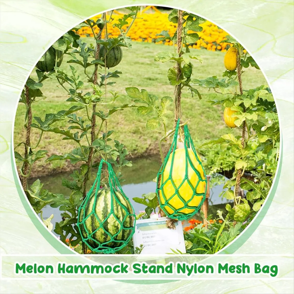 ABZT 12 Pcs Watermelon Net Melon Hammock Melon Cradle Plant and Garden Supports Pumpkin Support Hanging Bag Protects Green
ABZT 12 Pcs Watermelon Net Melon Hammock Melon Cradle Plant and Garden Supports Pumpkin Support Hanging Bag Protects Green
