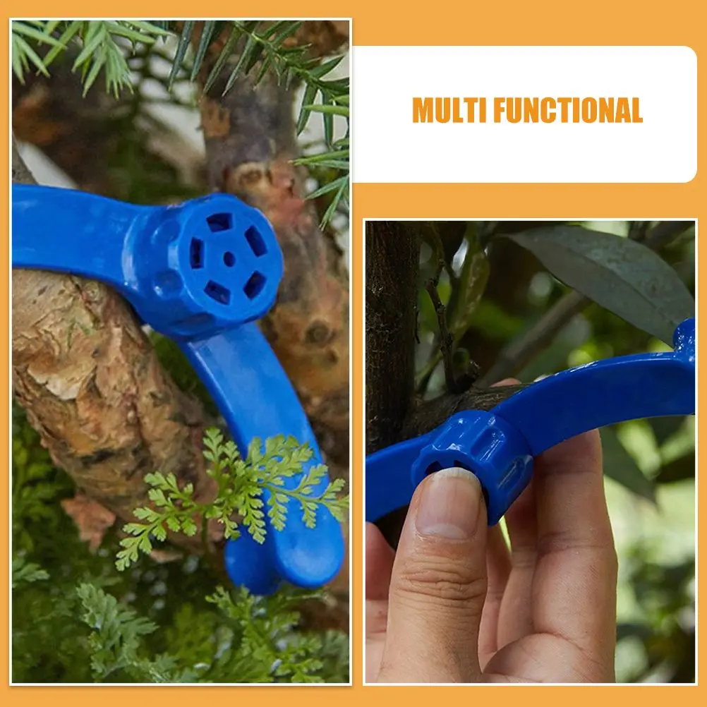 6pcs Fruit Tree Styling Tools Durable Plant Training Clips Gardening Bender Wear Resistant Reusable Branches Fixing Tool
6pcs Fruit Tree Styling Tools Durable Plant Training Clips Gardening Bender Wear Resistant Reusable Branches Fixing Tool