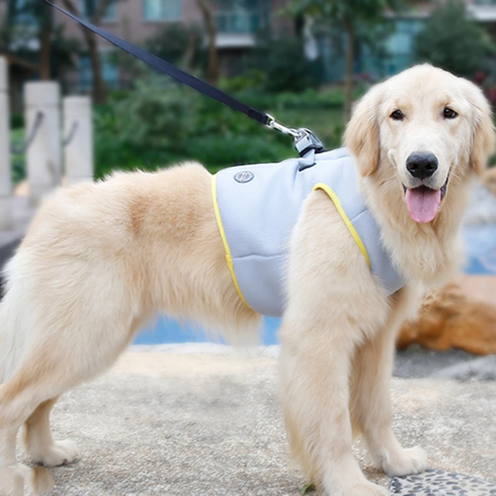 Dog Cooling Vest Summer Pet Clothes Small Dogs Chest Harness Cool Jacket for Walking Jogging Outdoor Activities
Dog Cooling Vest Summer Pet Clothes Small Dogs Chest Harness Cool Jacket for Walking Jogging Outdoor Activities