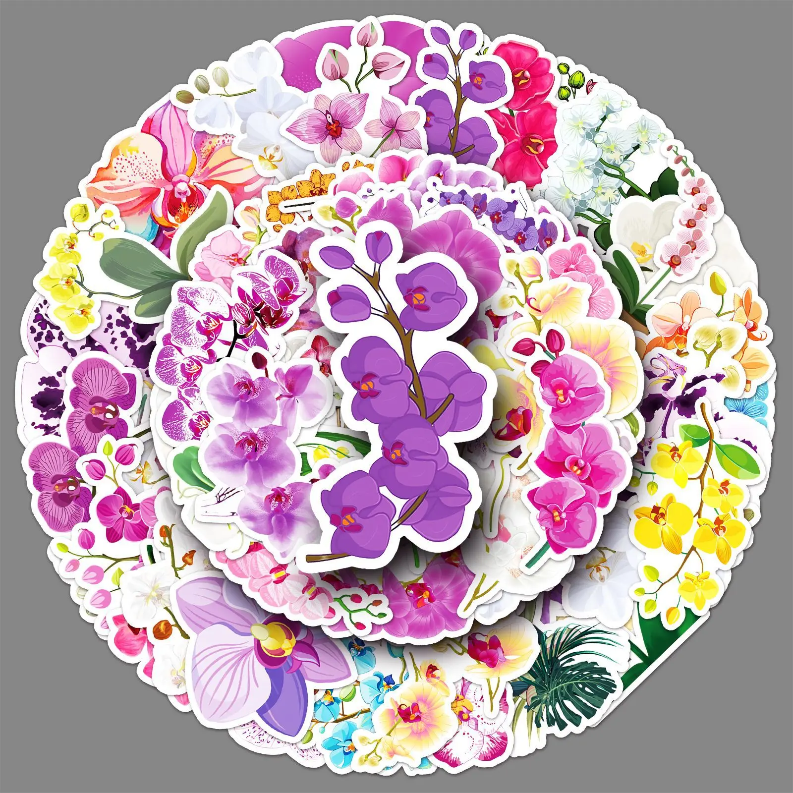 10/50PCS Cartoon Flower Phalaenopsis aphrodite Graffiti Stickers Waterproof Decal Kids Toy Gift for Stationery Box Desk Bicycle
10/50PCS Cartoon Flower Phalaenopsis aphrodite Graffiti Stickers Waterproof Decal Kids Toy Gift for Stationery Box Desk Bicycle