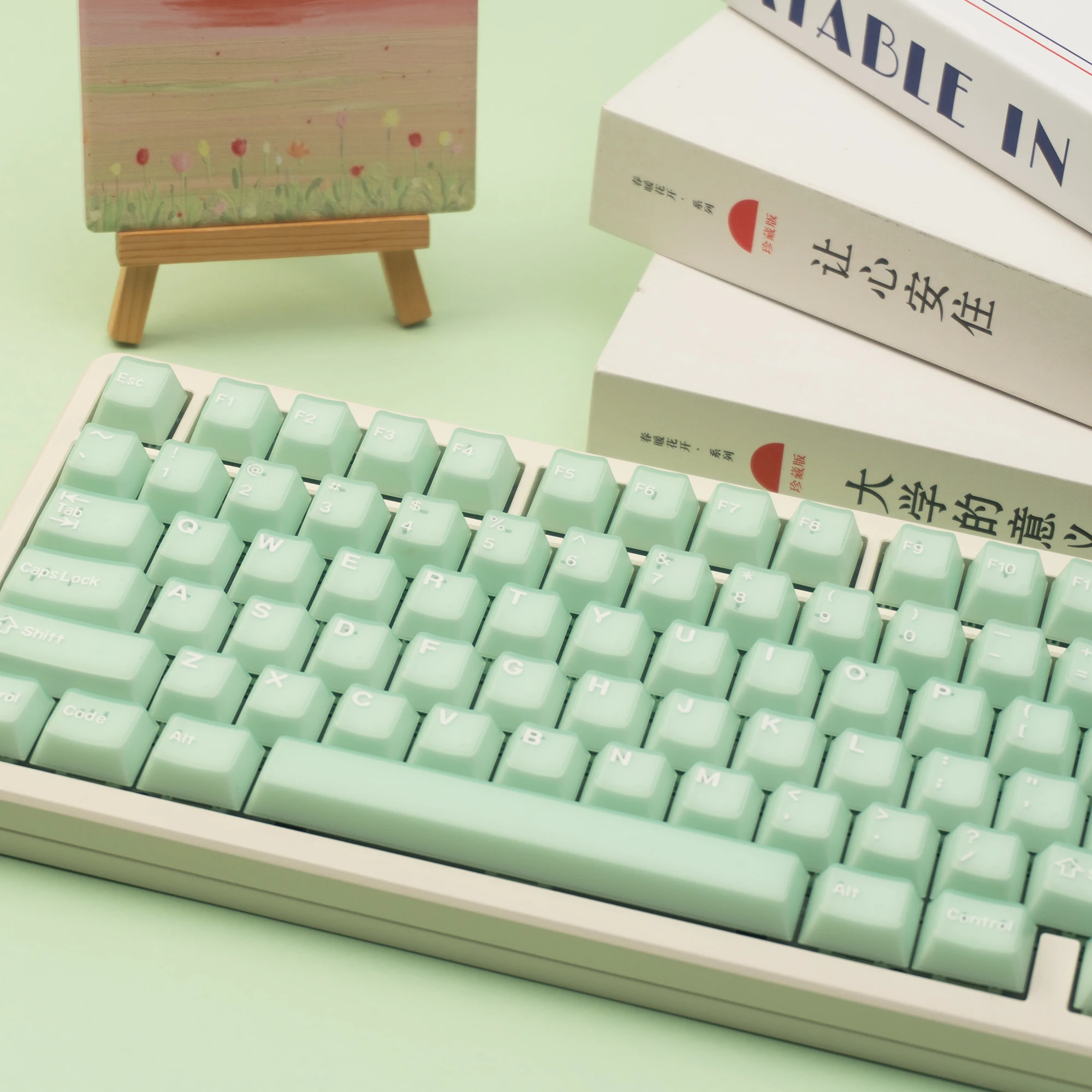 174 Key Full Set Fog Transparent Feel Clear Keycaps Crystal PC PBT Keycap Key cap Cherry Profile for MX Switch Keyboard
174 Key Full Set Fog Transparent Feel Clear Keycaps Crystal PC PBT Keycap Key cap Cherry Profile for MX Switch Keyboard