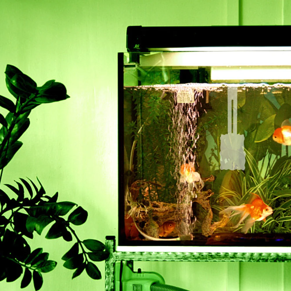 2 Pcs Fish Tank Waterweed Cup Hanging Aquatic Planter Cups Plants Holder Aquarium Decor Stand Planting
2 Pcs Fish Tank Waterweed Cup Hanging Aquatic Planter Cups Plants Holder Aquarium Decor Stand Planting