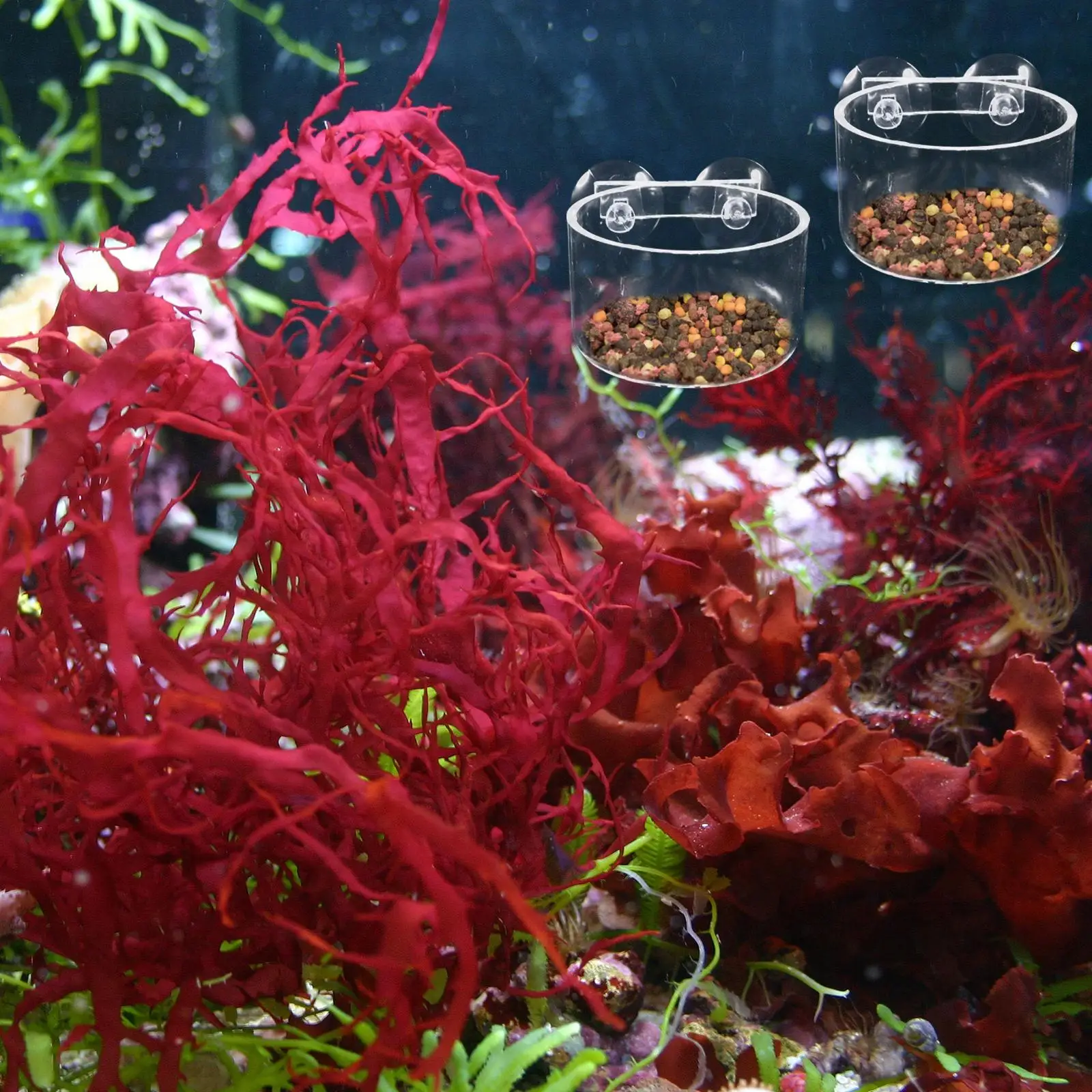 4 Pcs Aquarium Flower Pot Hanging Planter Fish Tank Plants High Transmittance Acrylic Splash Resistant Ventilation Decor Aquatic
4 Pcs Aquarium Flower Pot Hanging Planter Fish Tank Plants High Transmittance Acrylic Splash Resistant Ventilation Decor Aquatic