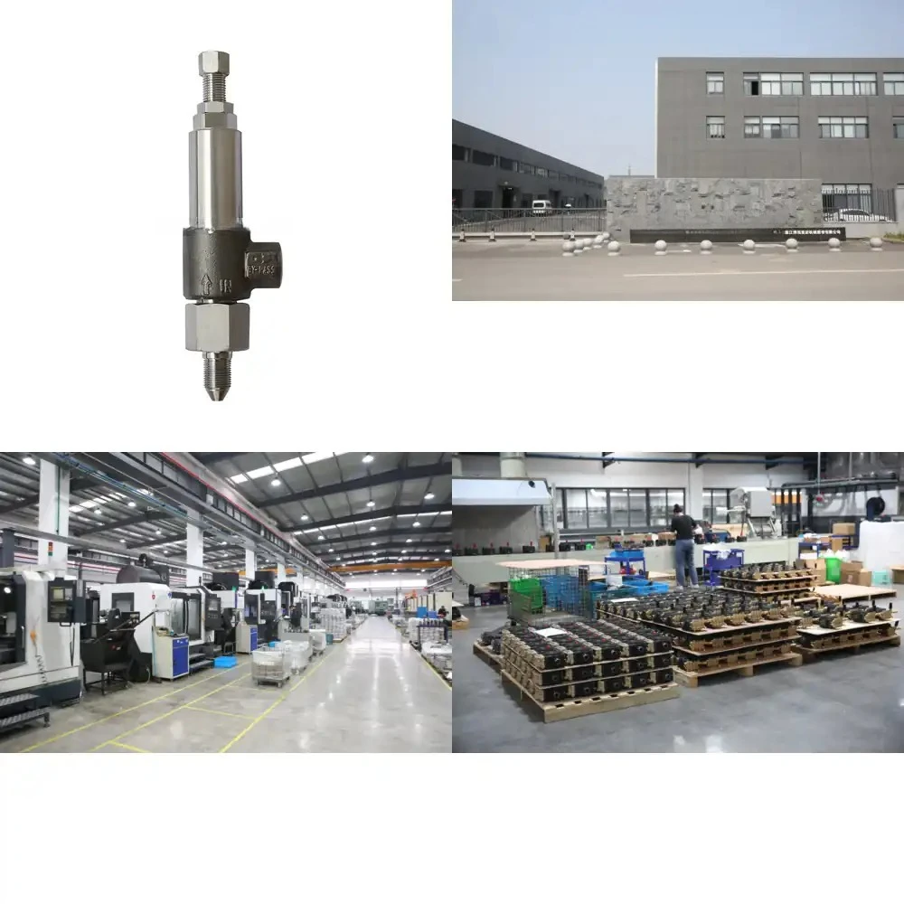 Ultra-High Pressure Pump Regulating Valve, 40Lpm 1500Bar Pressure Control Unloader Valve for Cleaning Pump
Ultra-High Pressure Pump Regulating Valve, 40Lpm 1500Bar Pressure Control Unloader Valve for Cleaning Pump