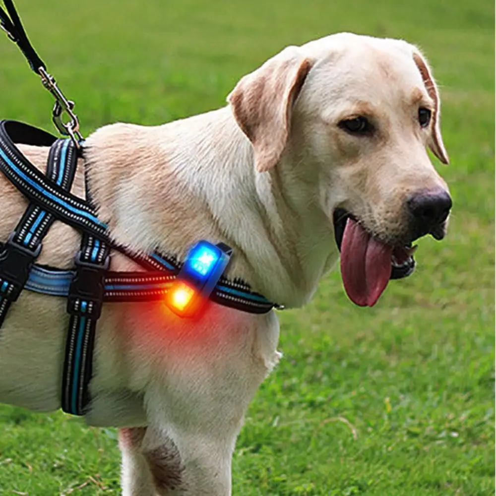 Маленький размер EDC фонарик с клипсой на перезаряжаемые ходовые огни Материал ABS Портативный дизайн Перезаряжаемый фонарь для бега
Маленький размер EDC фонарик с клипсой на перезаряжаемые ходовые огни Материал ABS Портативный дизайн Перезаряжаемый фонарь для бега