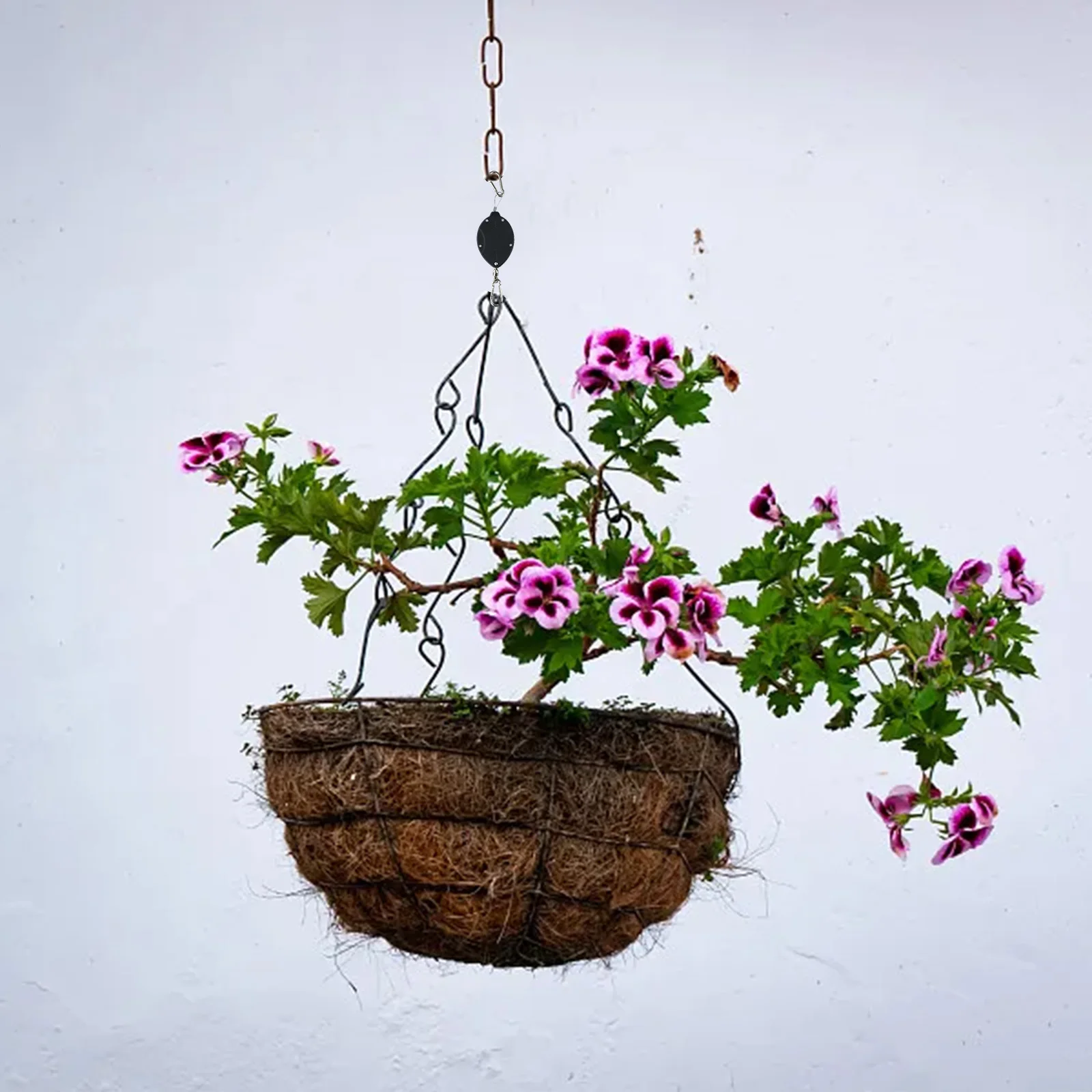 2PCS Heavy Duty Plant Pulleys for Hanging Plants with Auto Pull Down and Raise Adjustable Hooks for Garden Pots Bird Feeders
2PCS Heavy Duty Plant Pulleys for Hanging Plants with Auto Pull Down and Raise Adjustable Hooks for Garden Pots Bird Feeders