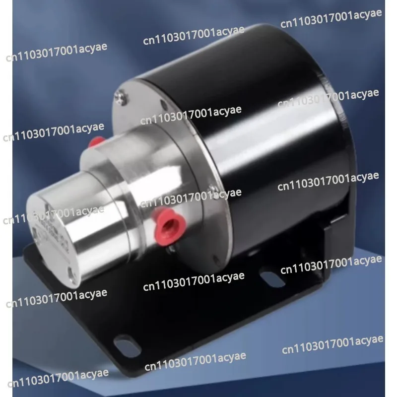 Stainless Steel Micrometering Pump Self-Priming Printing Coffee Machine Inkjet Printer Magnetic Drive Gear Pump
Stainless Steel Micrometering Pump Self-Priming Printing Coffee Machine Inkjet Printer Magnetic Drive Gear Pump