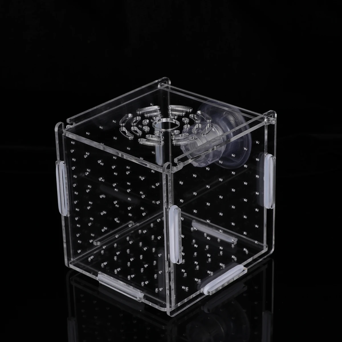 Fish Tank Isolation Box Specimen Containers for Incubator Terrarium Breeding Cage Hatchery Aquarium Accessory Acclimation
Fish Tank Isolation Box Specimen Containers for Incubator Terrarium Breeding Cage Hatchery Aquarium Accessory Acclimation
