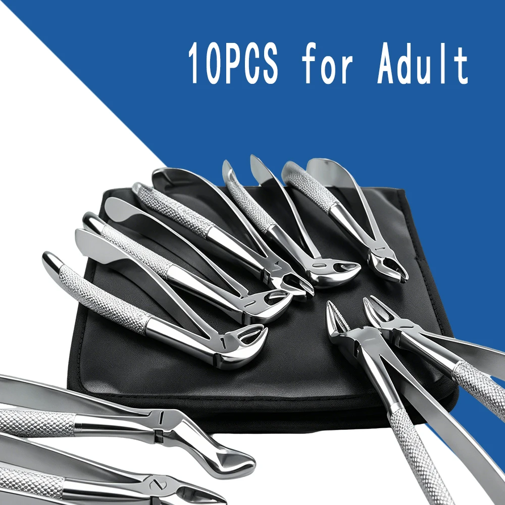 Adult Dental Tooth Extraction Forceps Surgical Grade Dentistry Tool for Professional Use
Adult Dental Tooth Extraction Forceps Surgical Grade Dentistry Tool for Professional Use