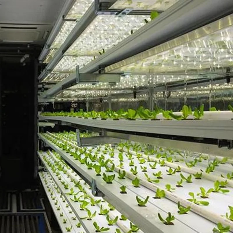 Grow House Aeroponic 40 ft / 20ft Container Greenhouse Drip Irrigation System for Lettuce Leafy Vegetables and Mushroom
Grow House Aeroponic 40 ft / 20ft Container Greenhouse Drip Irrigation System for Lettuce Leafy Vegetables and Mushroom