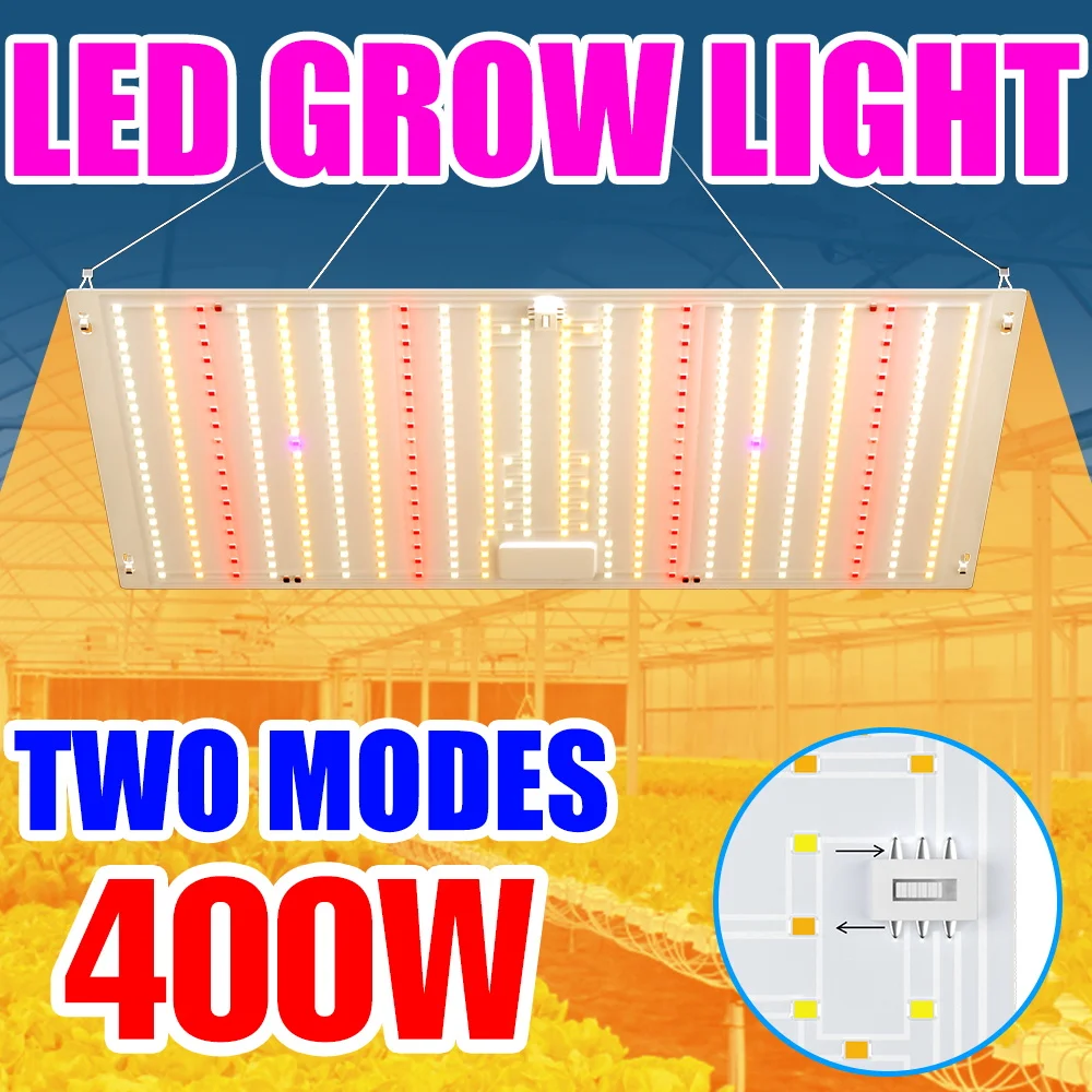 Светодиодная лампа для растений 400 Вт, полный спектр, квантовая панель, УФ-подсветка для цветения, для теплиц, гроубоксов, выращивания овощей, гидропоники
Светодиодная лампа для растений 400 Вт, полный спектр, квантовая панель, УФ-подсветка для цветения, для теплиц, гроубоксов, выращивания овощей, гидропоники