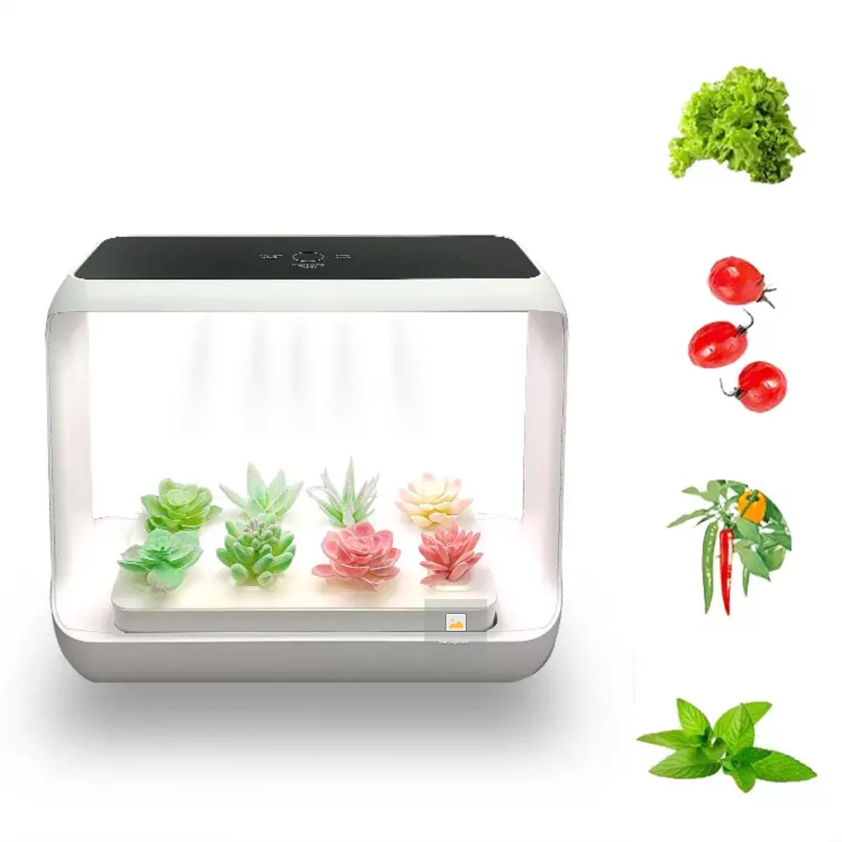 Wholesale Counter Top Starter Kits Plant Growing Indoor Hydroponics Herb Garden
Wholesale Counter Top Starter Kits Plant Growing Indoor Hydroponics Herb Garden