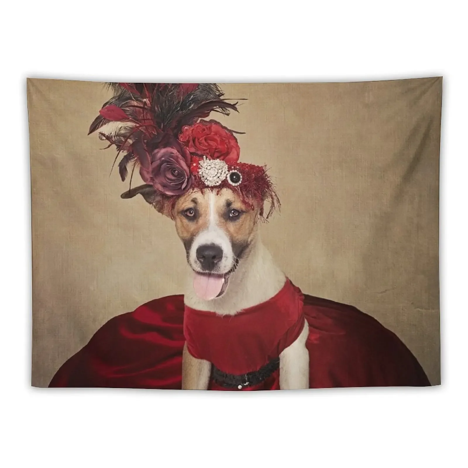 Shelter Pets Project - Baby Girl Tapestry Bedroom Decor Aesthetic Decoration For Bedroom Tapestry
Shelter Pets Project - Baby Girl Tapestry Bedroom Decor Aesthetic Decoration For Bedroom Tapestry