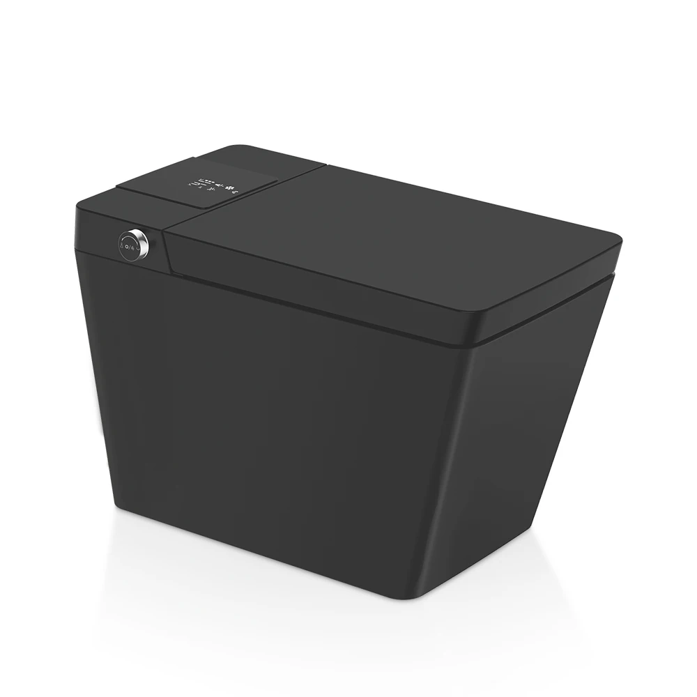 Adjustable Dtyer Temp square Smart Toilet Automatic Matte Black
Adjustable Dtyer Temp square Smart Toilet Automatic Matte Black
