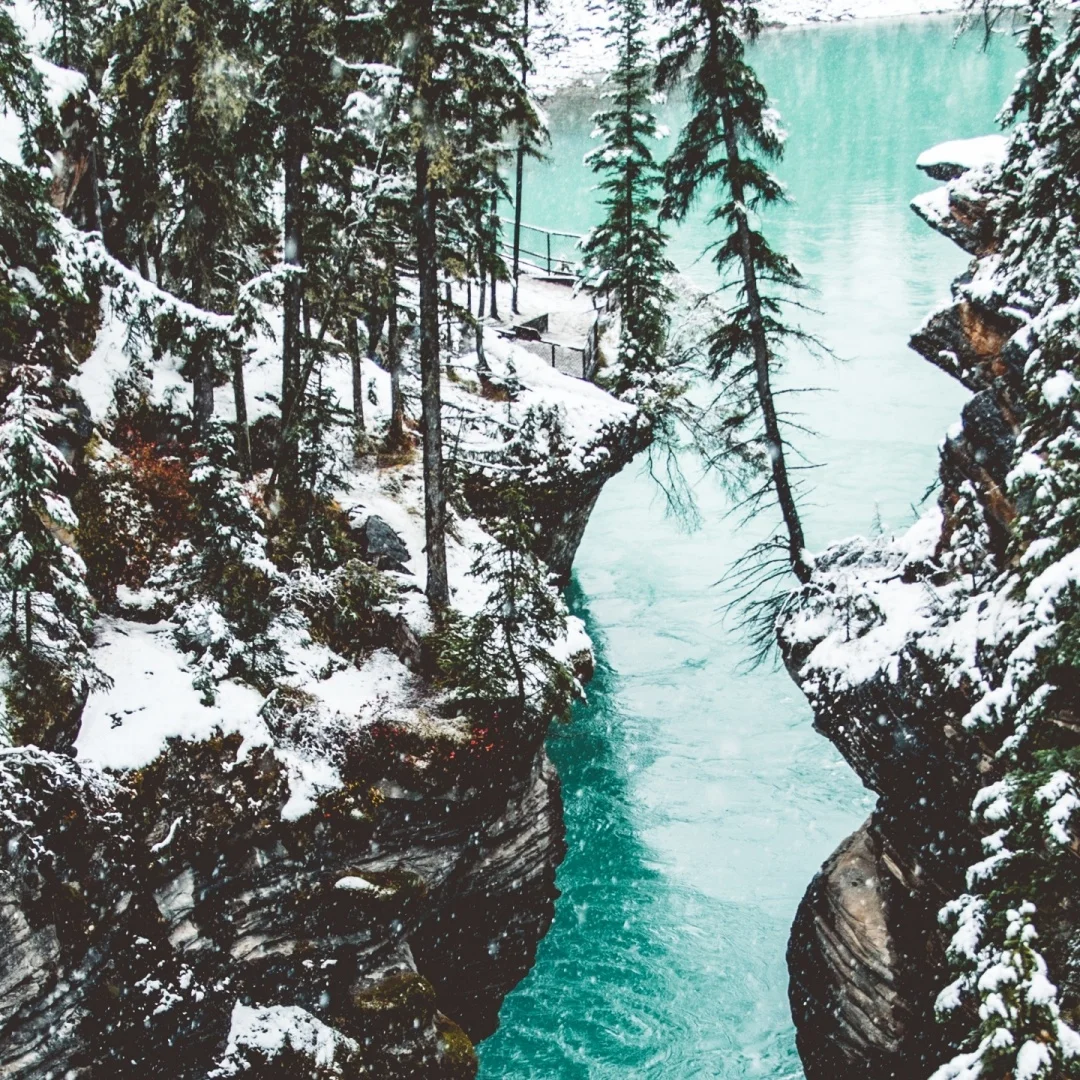 Digital Cluster Instrument for BMW 3/5 Series F06 F10 F11 F18 F30 F31 F34 2011-2017 Head-up display HUD LCD SpeedMeter Dashboard
Digital Cluster Instrument for BMW 3/5 Series F06 F10 F11 F18 F30 F31 F34 2011-2017 Head-up display HUD LCD SpeedMeter Dashboard