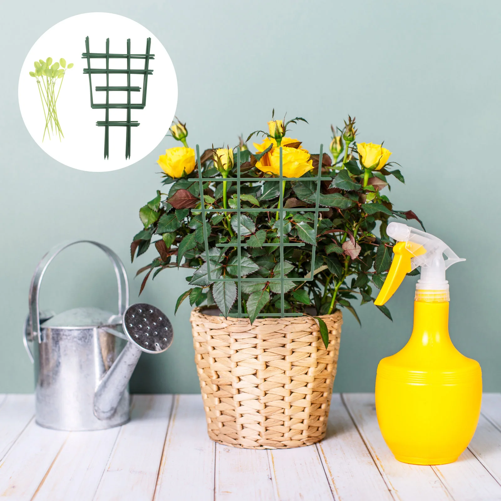 1Set Plant Climbing Stand Plastic Reusable Garden Stake for Climbing Plants Patio Lawn Yard Plant Trellis Garden Supply 
1Set Plant Climbing Stand Plastic Reusable Garden Stake for Climbing Plants Patio Lawn Yard Plant Trellis Garden Supply