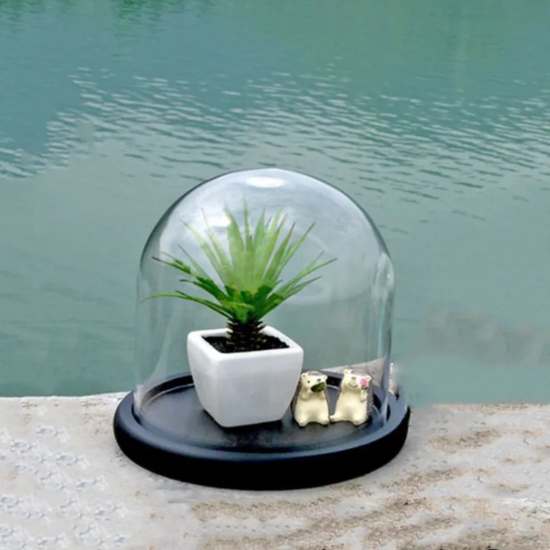 20*20cm Super Big Size Glass Dome Vase Home Deocration Flat Black Base Transparent Cover Wedding Live Prop Birthday Gift
20*20cm Super Big Size Glass Dome Vase Home Deocration Flat Black Base Transparent Cover Wedding Live Prop Birthday Gift