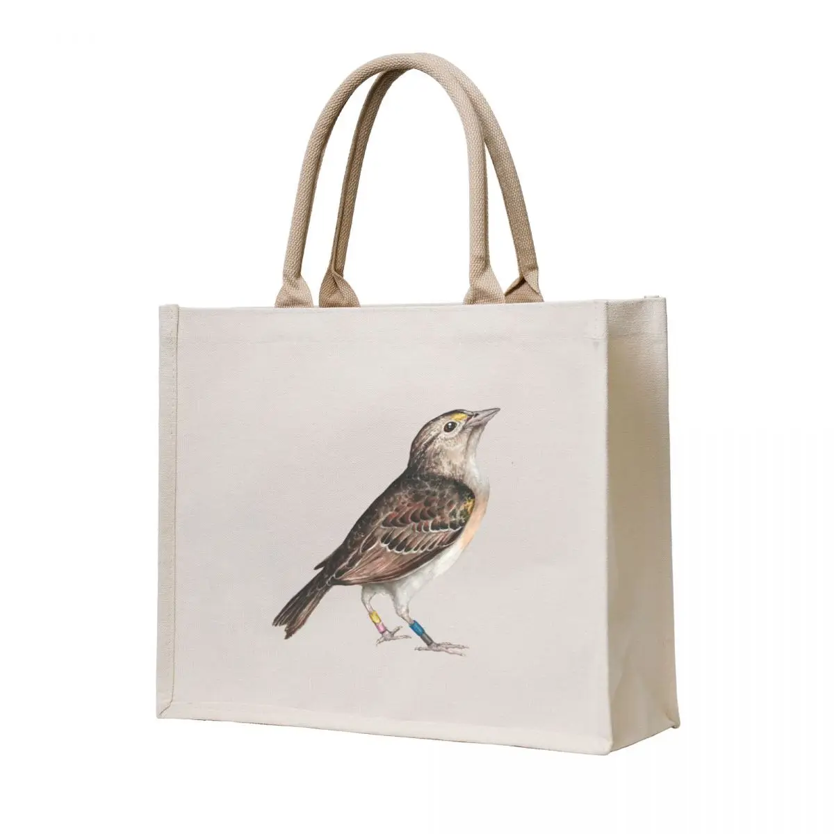 Florida Grasshopper Sparrow Tote Bag cute tote bag shopping bag shopper bags canvas tote
Florida Grasshopper Sparrow Tote Bag cute tote bag shopping bag shopper bags canvas tote