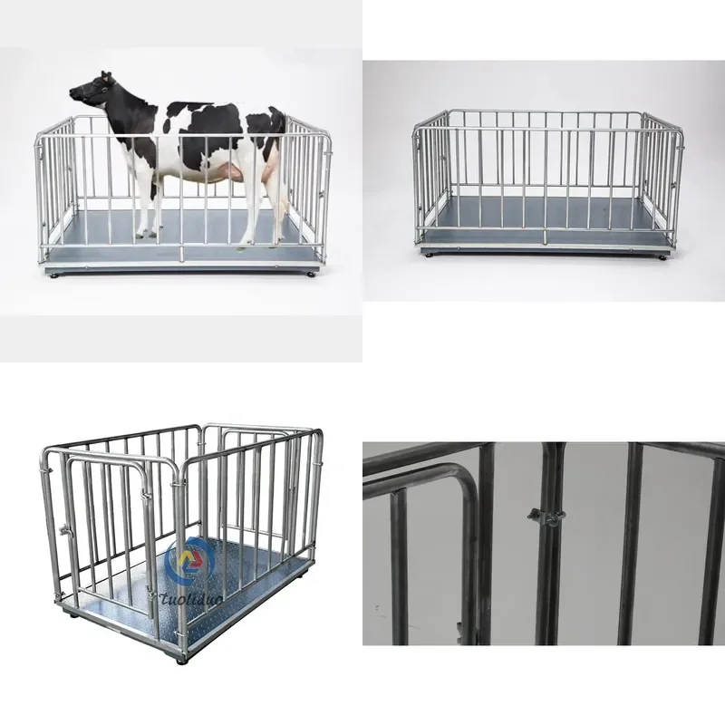 SFW Certificate 50 Years Factory Sales Digital Livestock Scale with Fence Scale with Panel Livestock Scale for Sheep Cattle
SFW Certificate 50 Years Factory Sales Digital Livestock Scale with Fence Scale with Panel Livestock Scale for Sheep Cattle